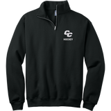 Curry College NuBlend 1/4-Zip Cadet Collar Sweatshirt