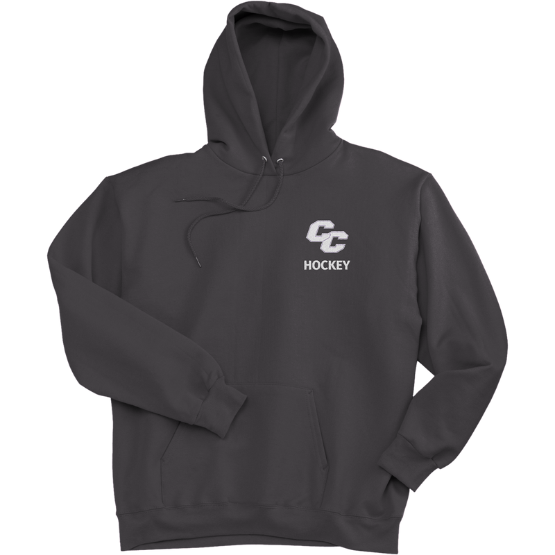 Curry College Ultimate Cotton - Pullover Hooded Sweatshirt