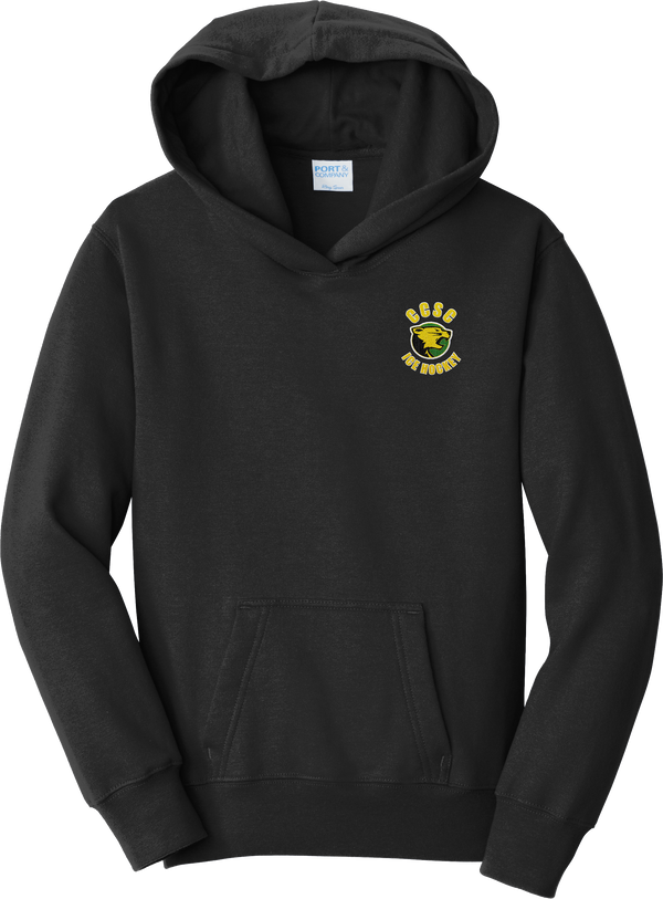 Chester County Youth Fan Favorite Fleece Pullover Hooded Sweatshirt